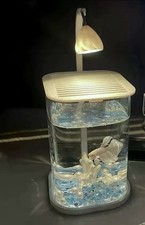 Ultra-White Glass Tank Living