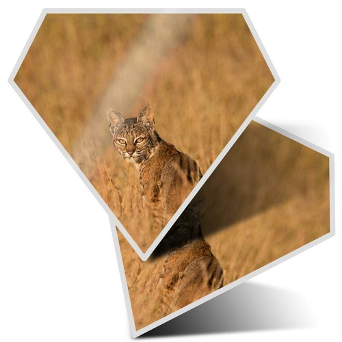 Diamond stickers - x, 10
