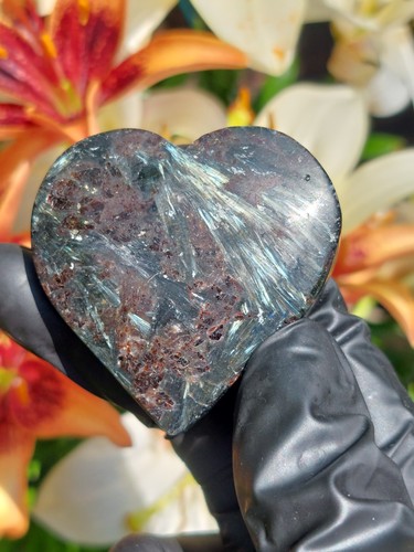 Arfvedsonite with garnet - arfvedsonite,