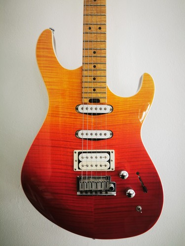 Rare cort ltd jss ssh - 16,