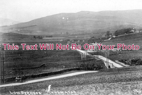 3109 low byrness - no,
