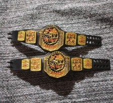 Mattel WWE Elite ECW World Tag