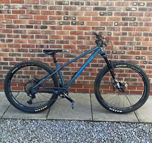 Santacruz chameleon top - santacruz, chameleon,