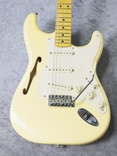 Fender Eric Johnson Thinline