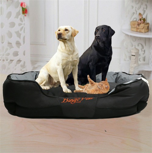 Extra large jumbo - large, orthopedic