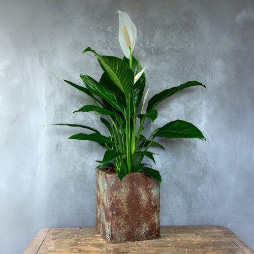 Handmade rust effect planter - handmade,