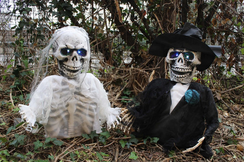 Ground breaking skeleton bride - ground,