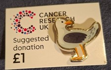 Charity pin badge cancer