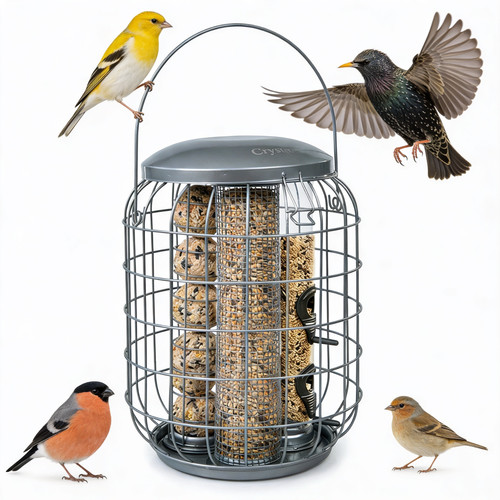 Squirrel proof hanging bird - squirrel,
