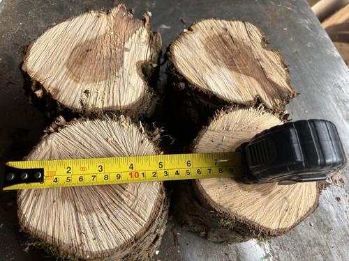 Apple wood - wood,apple,