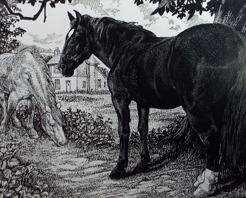 Original scraperboard ink - original, &