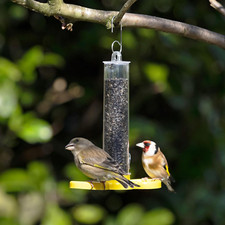Jacobi Jayne Goldfinch Finder - Pack of 2 Small Niger Seed Feeders