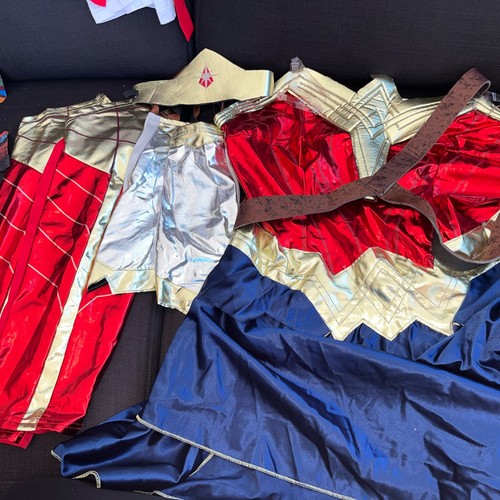 Adult ladies wonder woman - ladies,