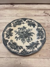 Enoch Wedgewood Asiatic