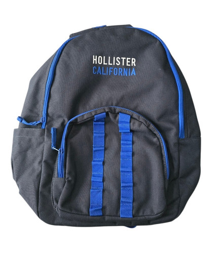 Hollister daypack backpack - daypack,