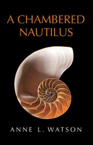 Chambered nautilus like - a, new