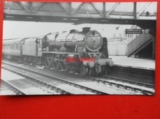 PHOTO  LMS ROYAL SCOT (SCOT)