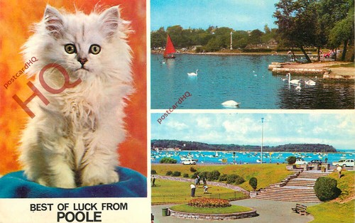 Picture postcard best luck - postcard,,