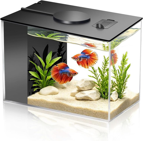 Small fish tank kit gallon - tank,