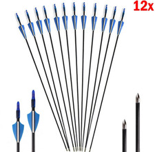 12 Fibreglass Archery Arrows