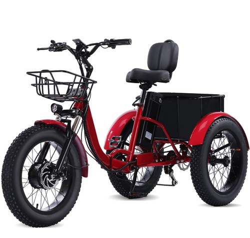 Fat tire folding - tire, electric