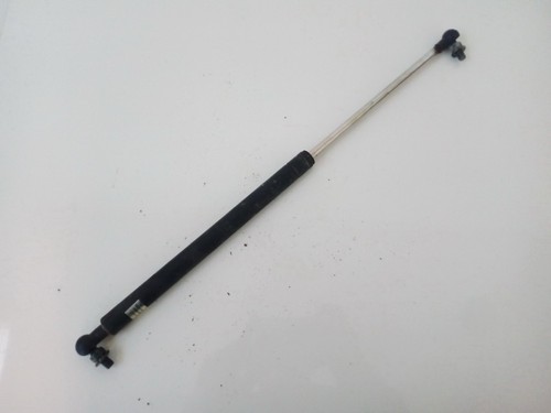 Gas strut bonnet - ,