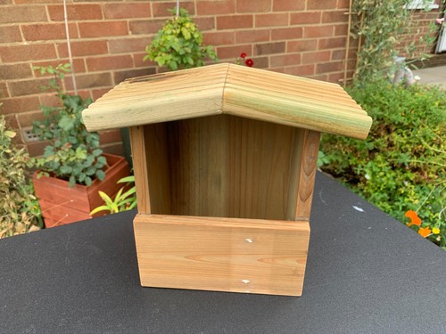 Robin wild bird nest box - wild,