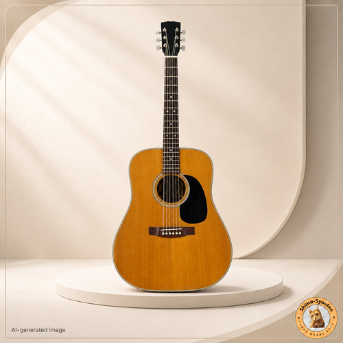 Aria acoustic guitar 130 - acoustic,