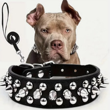 Spiked Studded Leather Dog