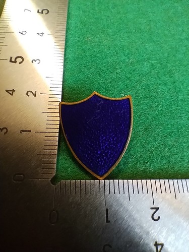 Vintage school shield plain - vintage,