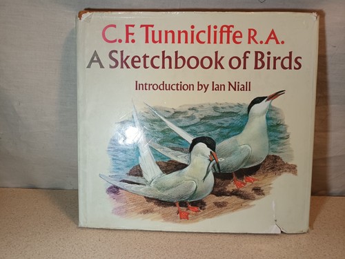 Sketchbook birds c f - of, c.f