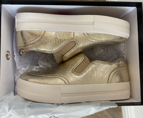 Bnib ash jungle gold - ash,