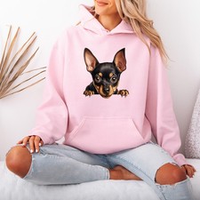 Miniature Pinscher Puppy