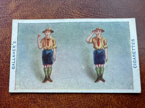 Gallaher cigarette card boy - gallaher,