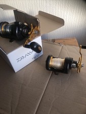 Daiwa Saltiest 30H