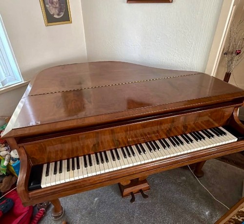 Beautiful baby grand - grand, piano