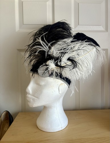 Black white ostrich feather - ostrich,
