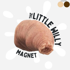 Little Willy Joke Novelty Fridge Magnet