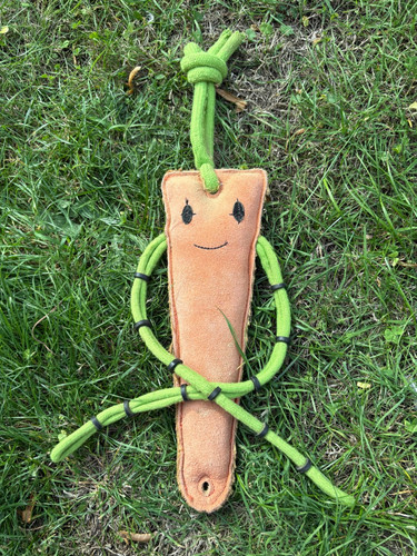 Carrot stable toy - stable,
