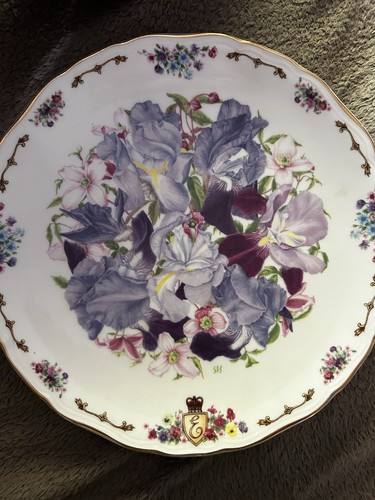 Royal albert irises - royal, by