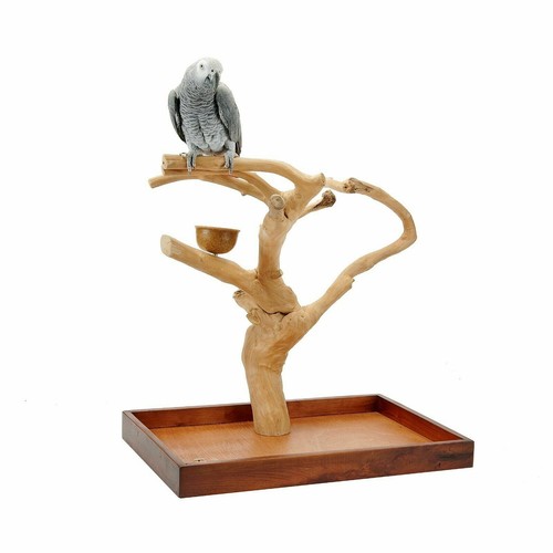 Java tree hardwood mini - tree,