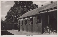 Surrey Postcard - Cobham Stub