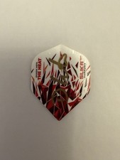 Damon Heta Hand Signed Darts