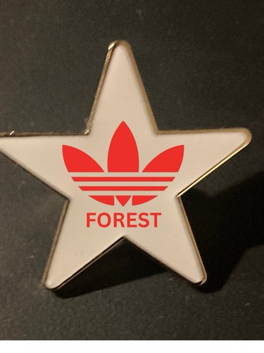 Nottingham forest star - star, badge