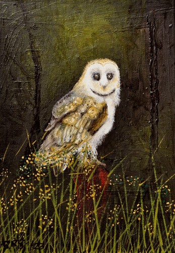 Iconic barn owl oil on - owl',,