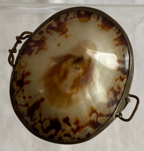 Limpet shell thimble holder - limpet,
