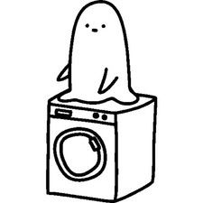 'Washing Machine Ghost'