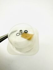 Brand New Rolex Stainless