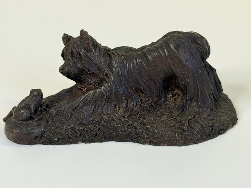 Heredities yorkshire terrier - heredities,