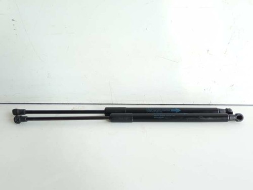689500h030 tailgate gas - gas, strut